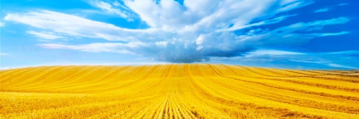 Эндрю 🇺🇦🇺🇸's banner