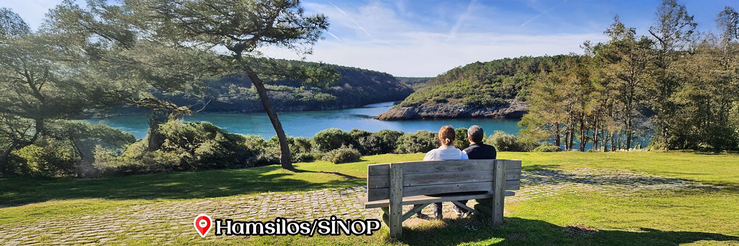 🇹🇷Dr.Mustafa Özarslan's banner