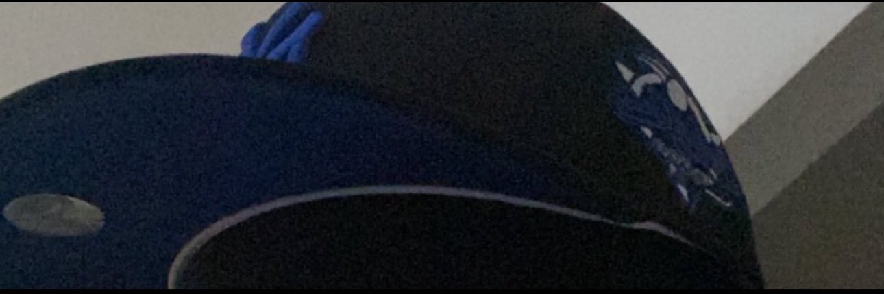 perk 🌟's banner