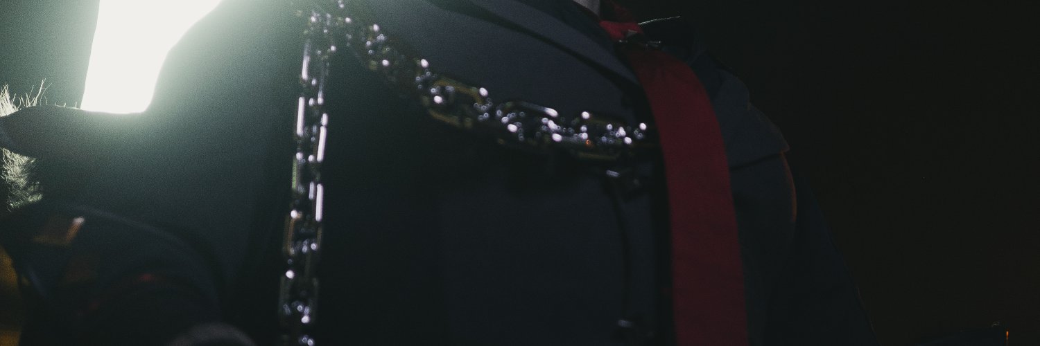 Garcheeks's banner