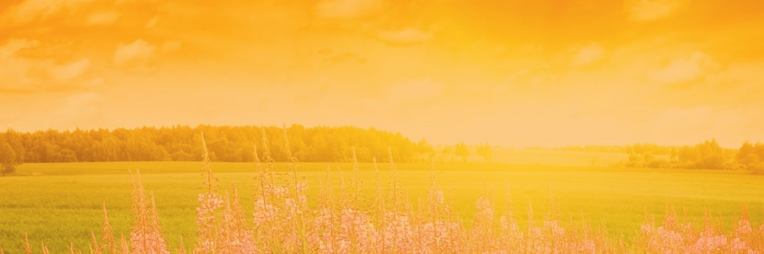 Oración Milagrosa's banner