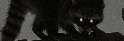 Mechro's banner