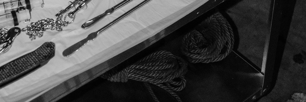 Louisa Ferre's banner