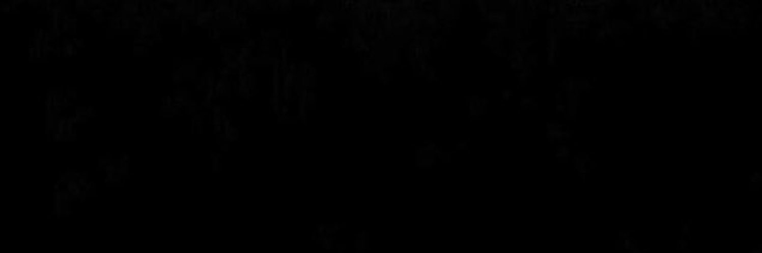 firou🤍's banner