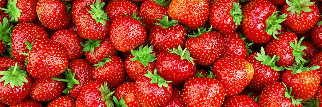 Strawberita's banner
