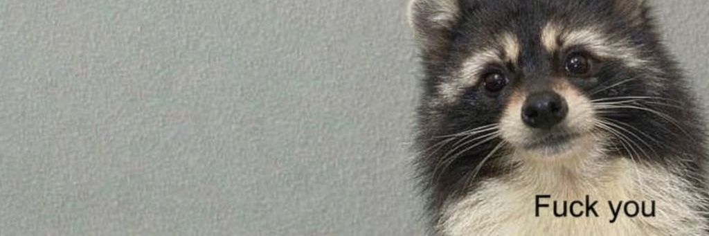 : 𝙟. 𝙖𝙨𝙢𝙞𝙣𝙚's banner