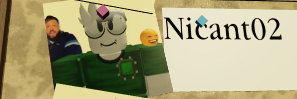 Nicant's banner