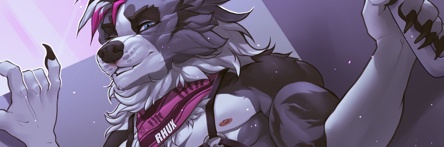 Rhux Collie's banner