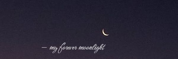 nini 🎀 semi ia's banner