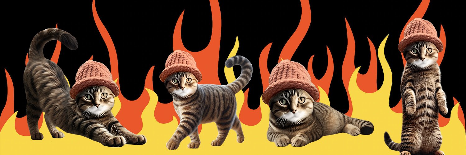 Catwifhat $CWIF's banner