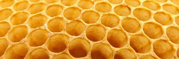 El Aguijón 🐝's banner