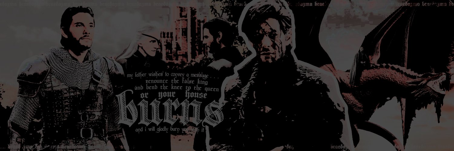 ⋆·˚ ༘ * 𝐓𝐇𝐄 𝐁𝐑𝐎𝐍𝐙𝐄 𝐃𝐑𝐀𝐆𝐎𝐍 .'s banner