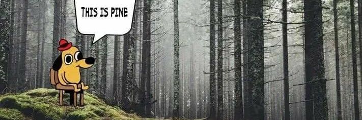 Михаэль Нунахер's banner