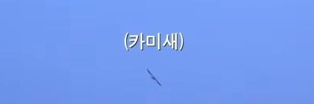 평생 카이 팬카페:HERE I AM's banner