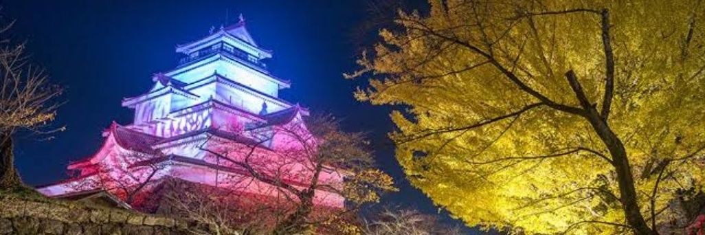 バジ　消費税は廃止一択's banner