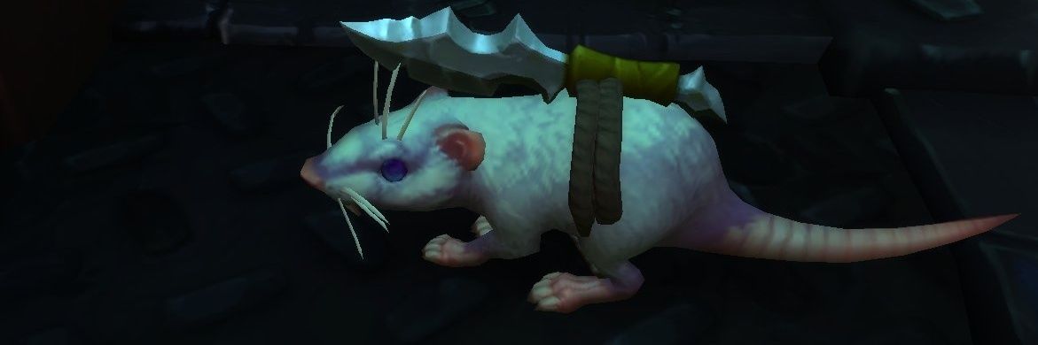 Rat with a knife🐀's banner