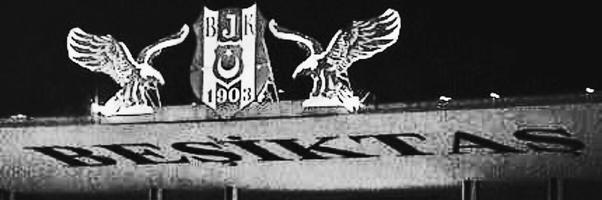 Atilla Odabaşı's banner