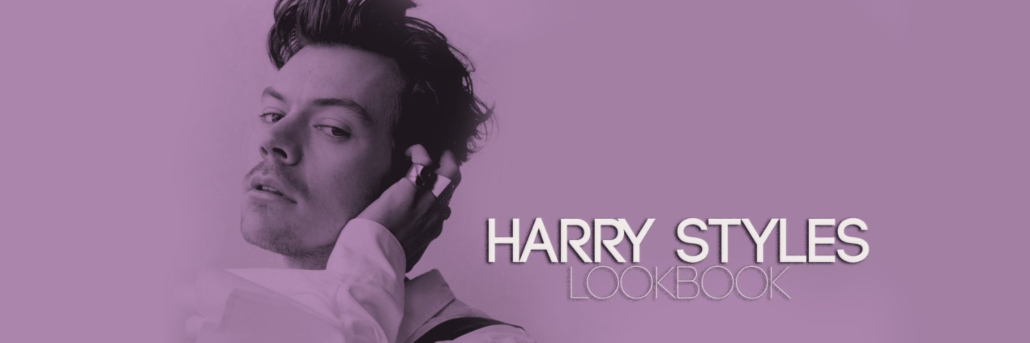 Harry Styles Lookbook's banner