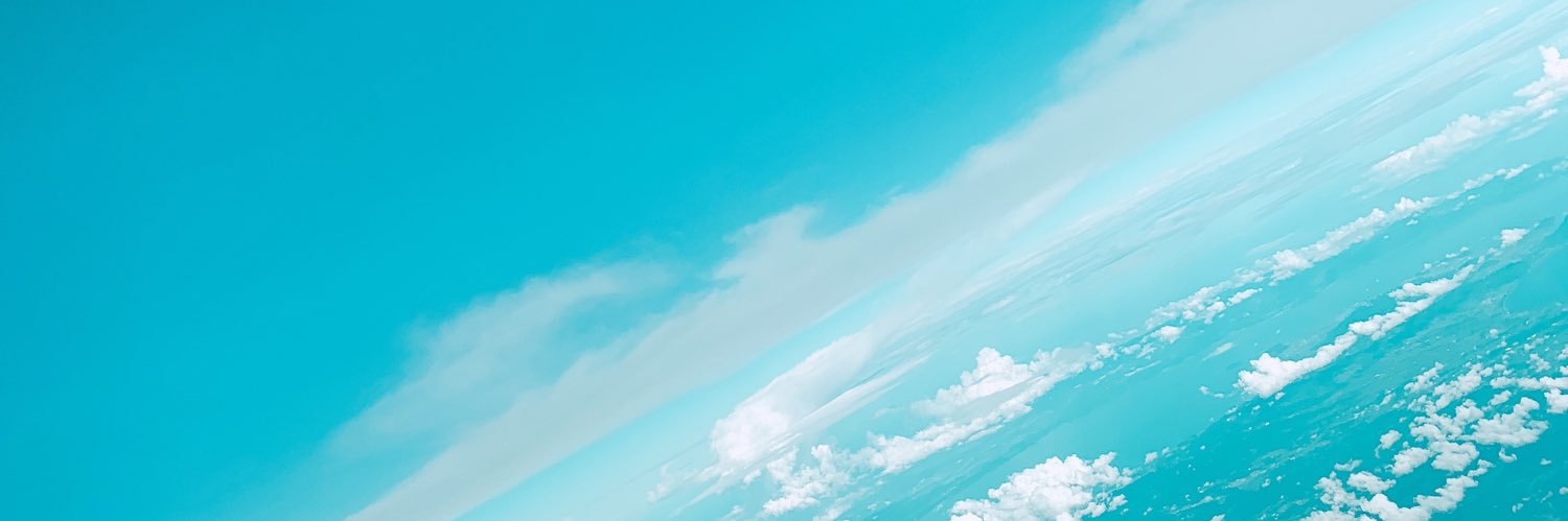 釵花🌺サイカって読むよ's banner