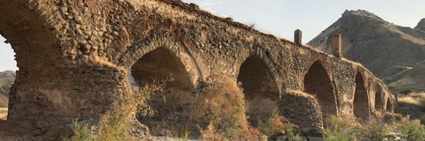 بانوی وينترفل's banner