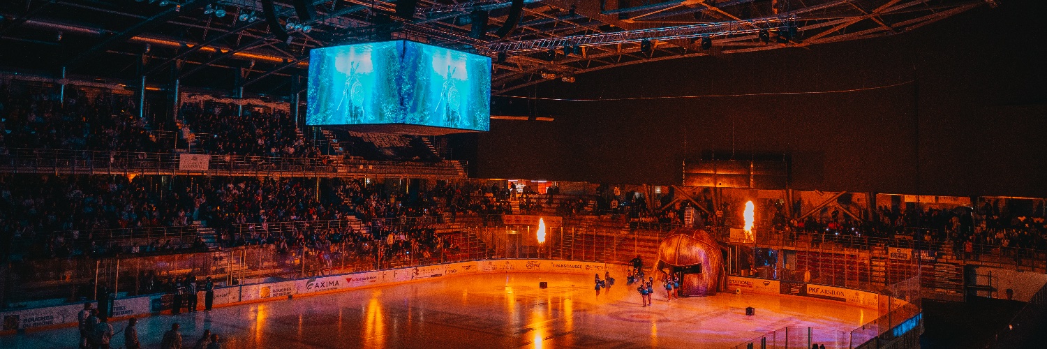 Spartiates de Marseille's banner