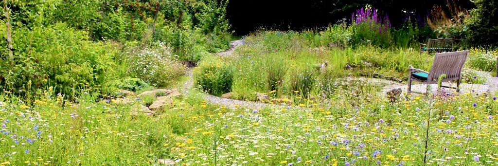 Joel Ashton 🍃🌳🍃's banner