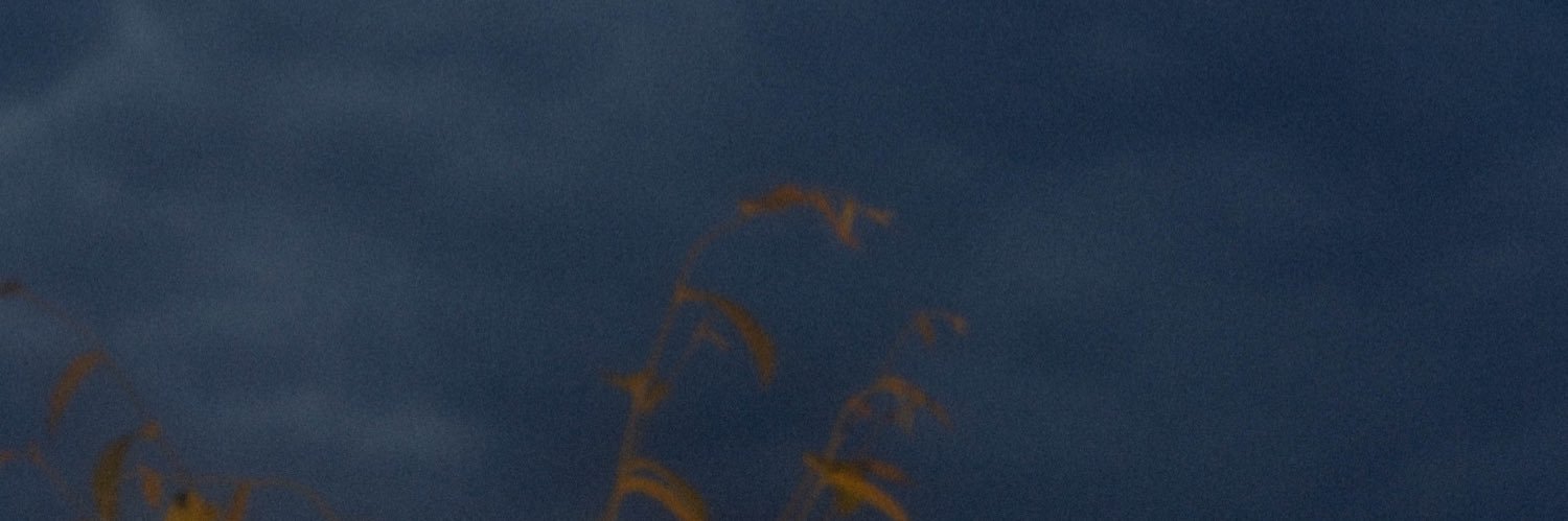 Sincere | シンシア's banner