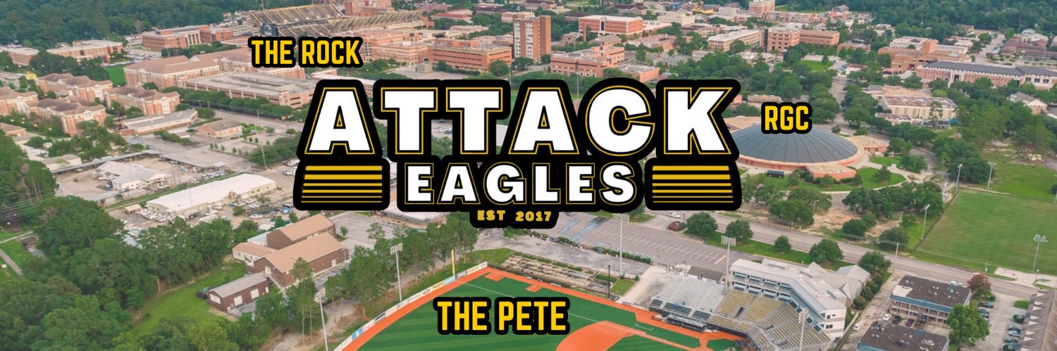 Attack Eagles🦅's banner