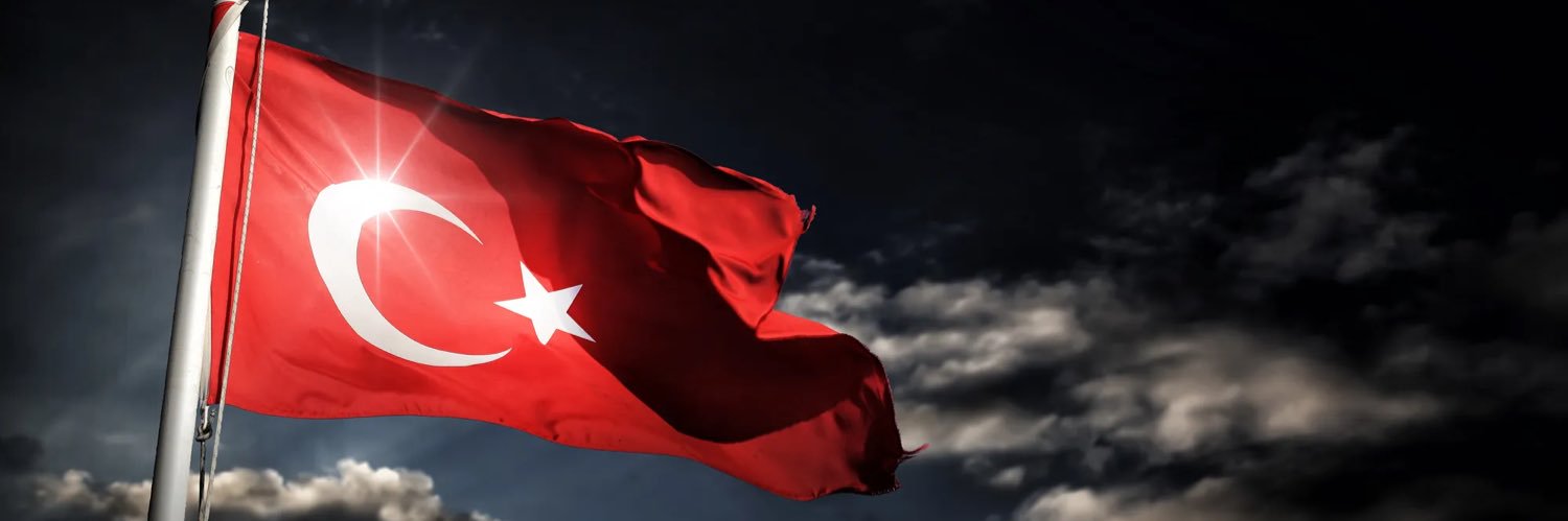 Prof.Dr. Sezgin ÇELİK's banner