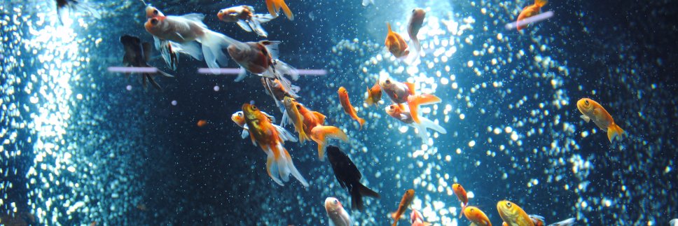 足立区生物園's banner