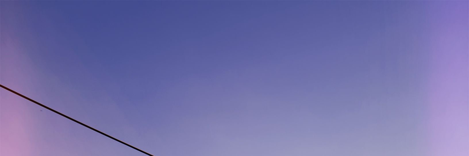 li's banner