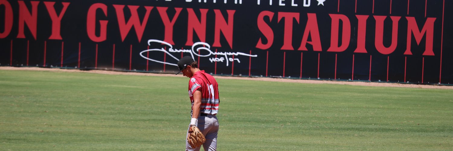 Preston Ricchini's banner