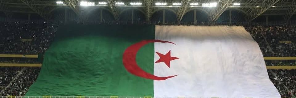 Afifa Haddad🇩🇿's banner