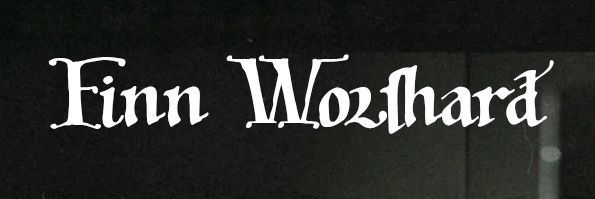 Finn Wolfhard Updates's banner