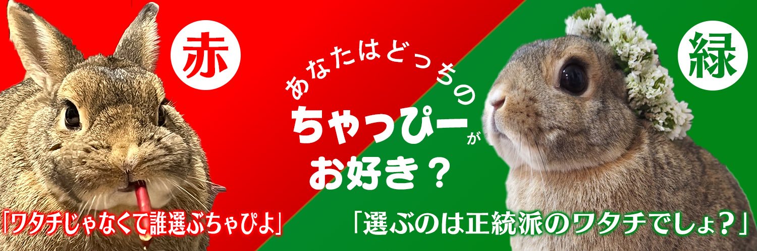 うさぎのちゃっぴー's banner