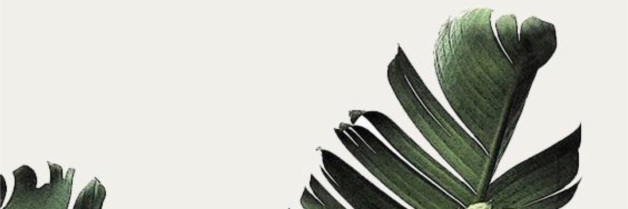 𝐅𝐢𝐧𝐢's banner