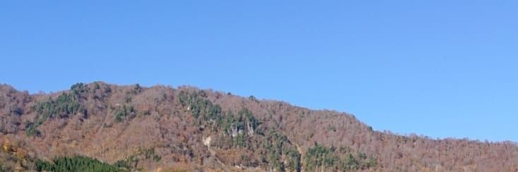 さとう珠緒's banner