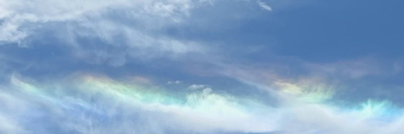 藤枝知行（気象キャスター×妖怪博士）'s banner