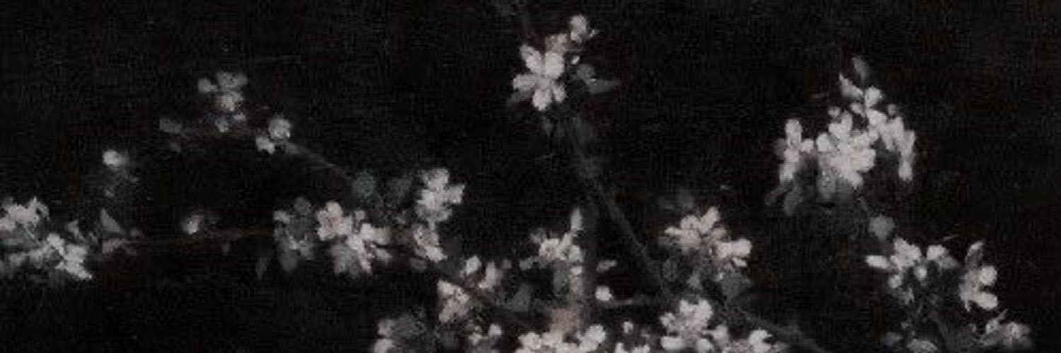 peach's banner