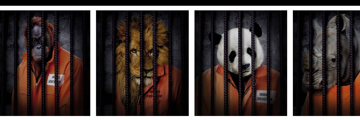 Free The Wild's banner