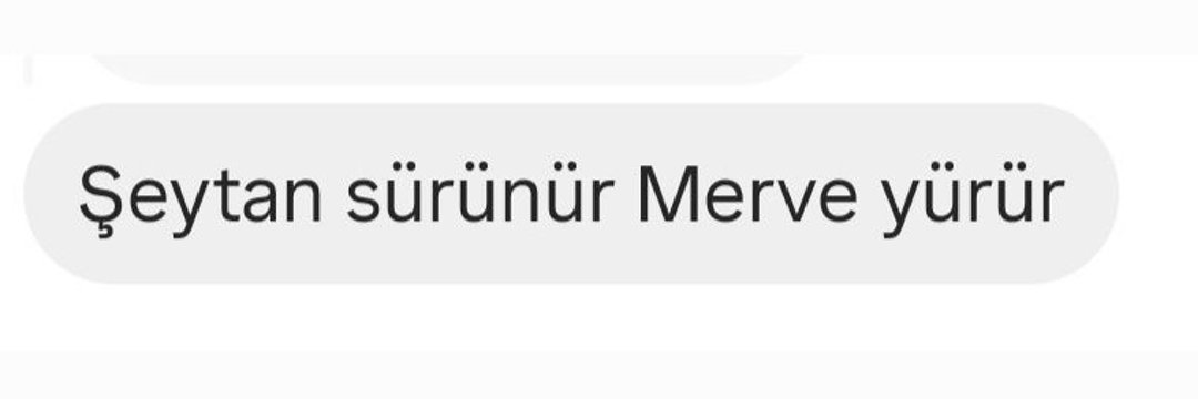 merviliyazıyor's banner