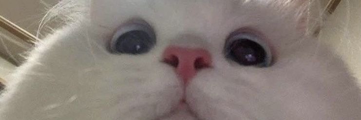 ᵖˡˢ 𝙹𝚊𝚢's banner