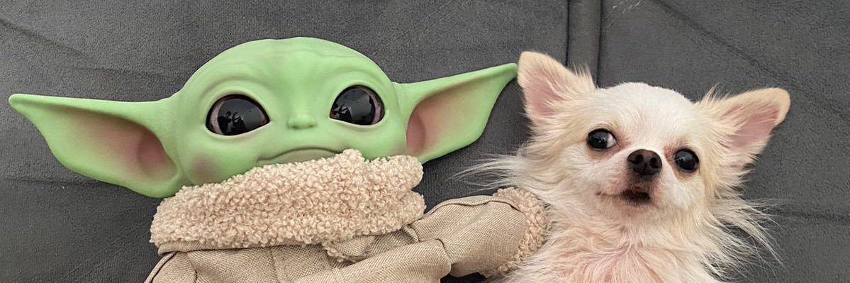 Felix's banner