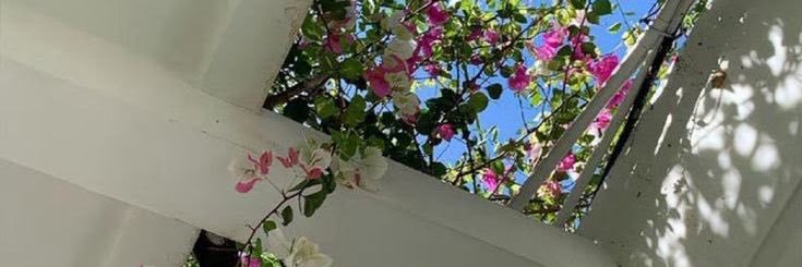 𝓢🌸🦋🧚🏽's banner