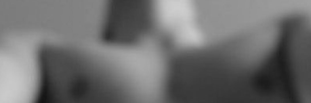 German Cuckold 's banner