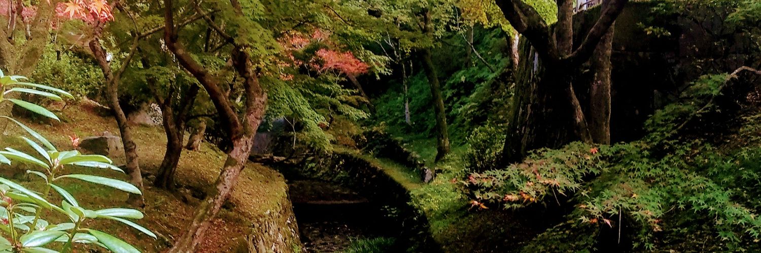 YaMa0（やまお）'s banner