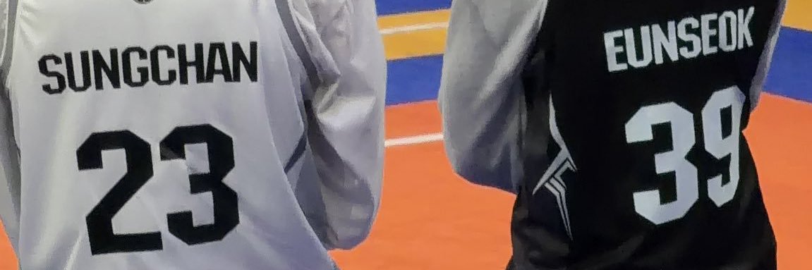 Babe's banner