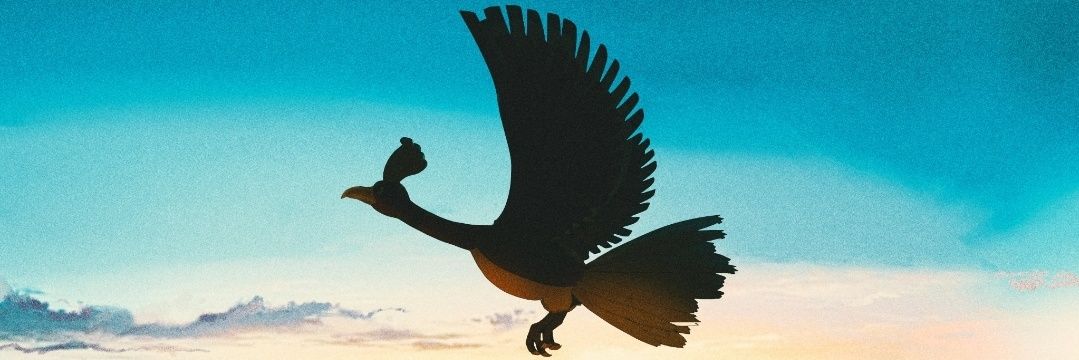🦥's banner
