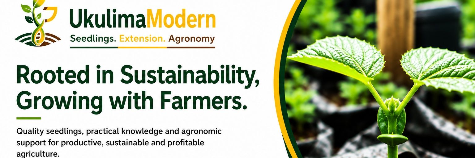 Ukulima Modern's banner