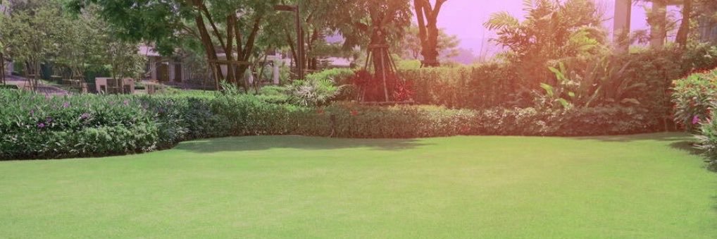 sap_675's banner